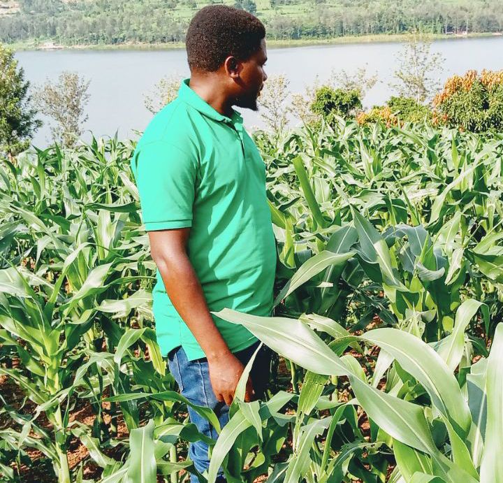 Imana ikomeze itange akavura