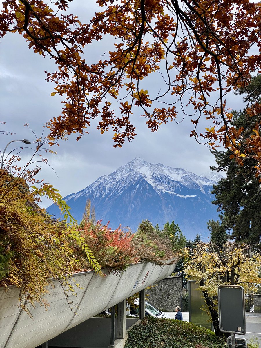 iSiddharthRaman's tweet image. Switzerland is beautiful even in November. ✨