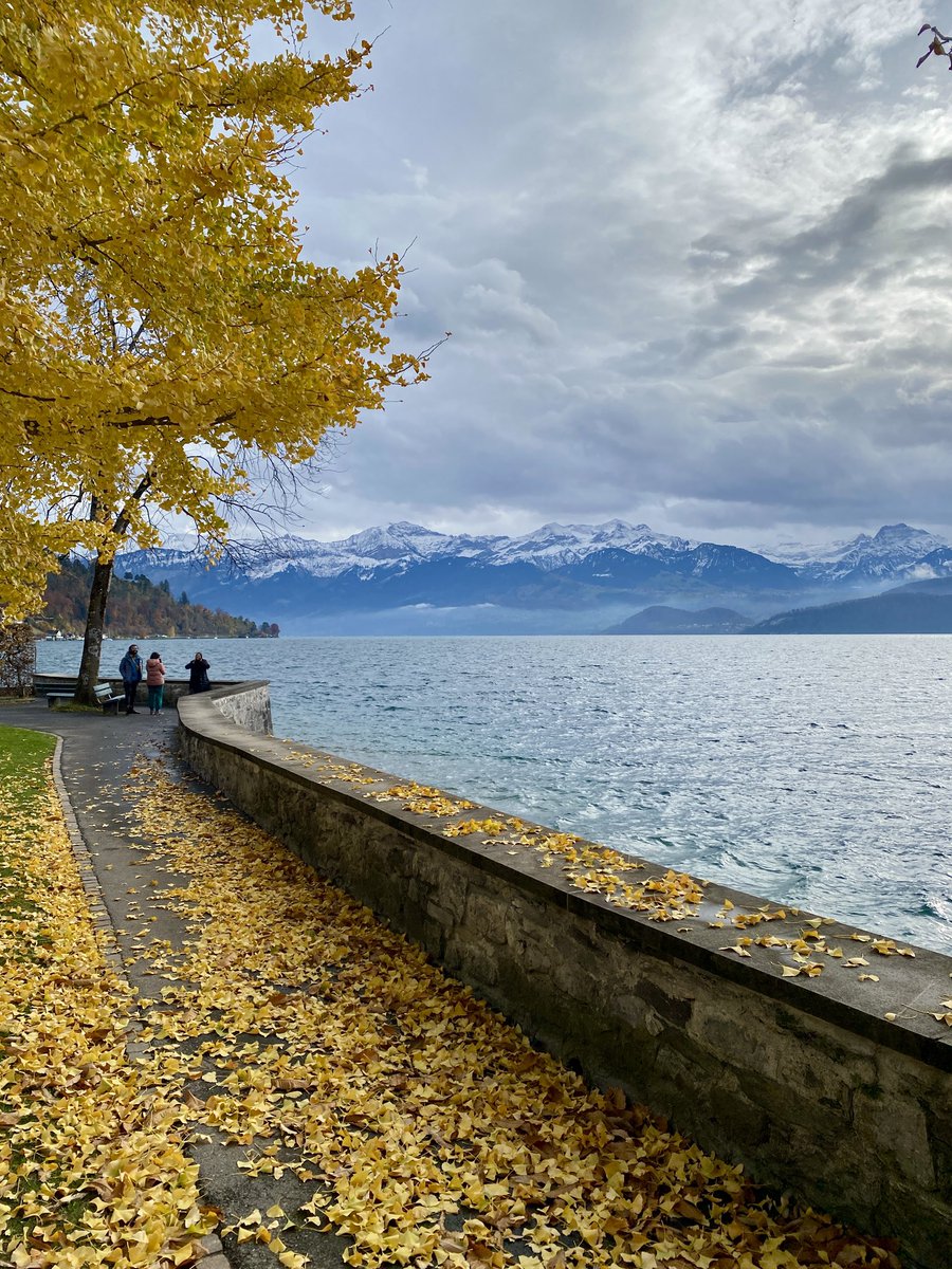 iSiddharthRaman's tweet image. Switzerland is beautiful even in November. ✨