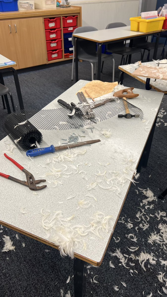 MissCapp_'s tweet photo. @DelaprePrimary @LiteracyCounts1 5C have started our newest English unit today and this is what our classroom looked like! Everyone was very intrigued to know what book we will be using for our Vehicle text… Exciting times ahead! 🪶 🛠️ https://t.co/PuOWiyStLy
