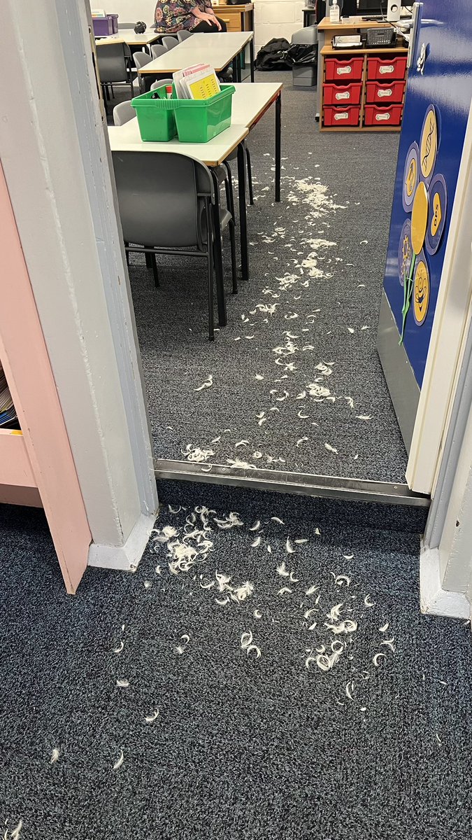 MissCapp_'s tweet photo. @DelaprePrimary @LiteracyCounts1 5C have started our newest English unit today and this is what our classroom looked like! Everyone was very intrigued to know what book we will be using for our Vehicle text… Exciting times ahead! 🪶 🛠️ https://t.co/PuOWiyStLy