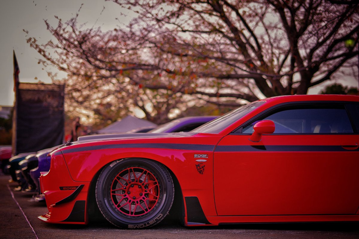 Hata_5810's tweet photo. 2024.11.17 駿府城公園AME★JAM⑧
#AMEJAM #アメジャム
#RedPhantom #レッドファントム
#アメ車 #アメリカンファンジャンボリー #駿府城公園 https://t.co/wBRo00FnVr