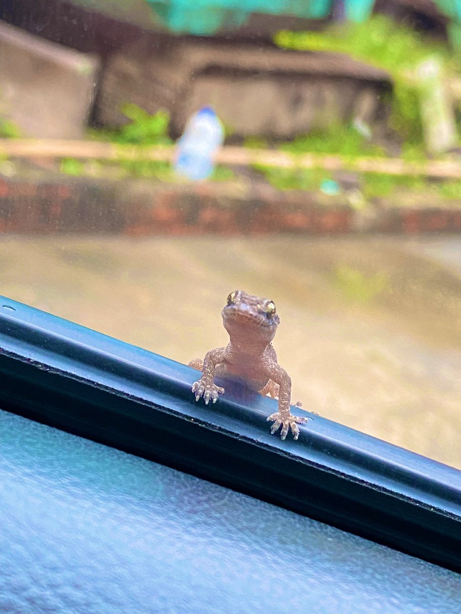 有一種笑
會讓你發寒～～～🥶