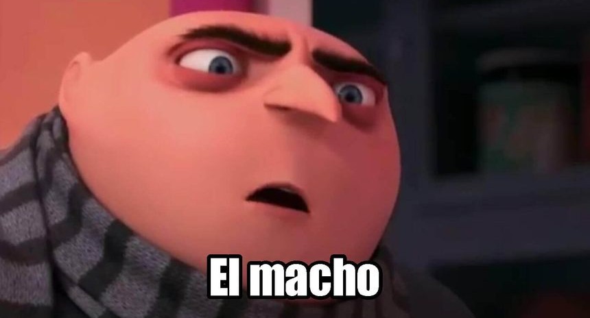 Nando tweet media