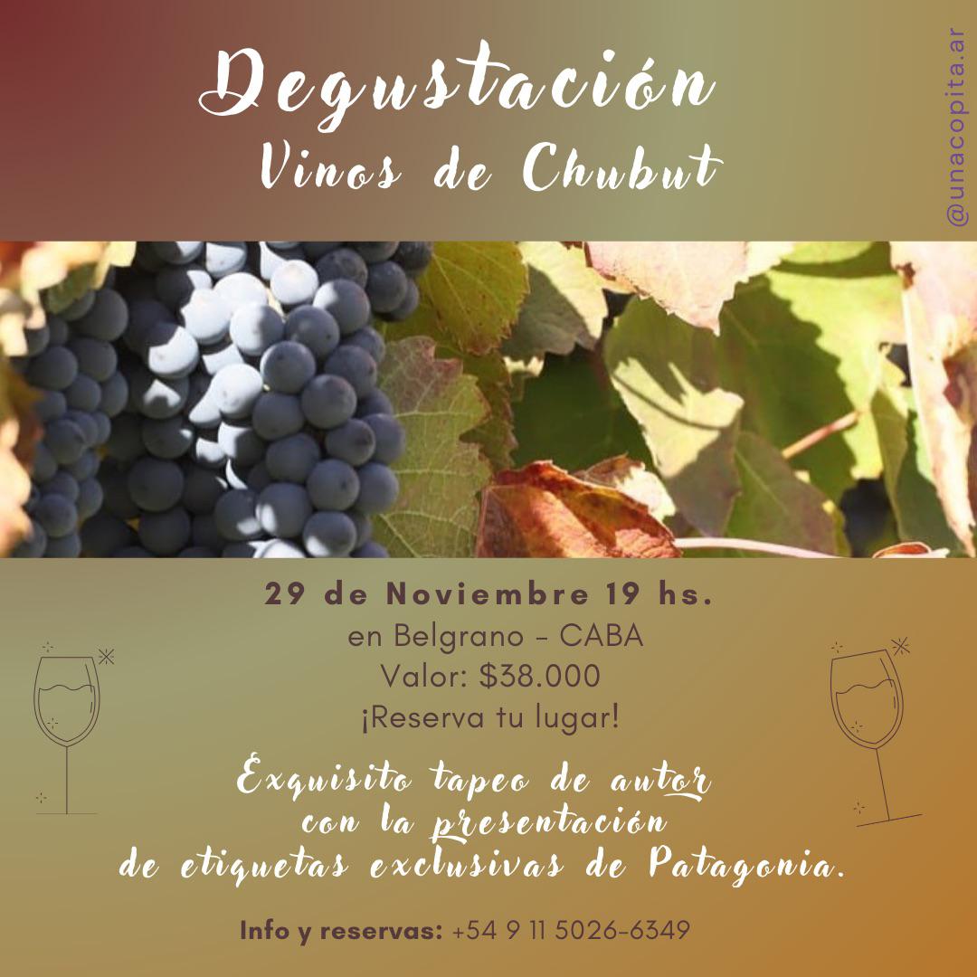 Juli1805A's tweet photo. 🍇Selección de vinos de las bodegas: Huancache-Patagonian Wines-Contra Corrinte-Los Altares-Rincón de los leones-Cielos de Gualjaina
🥘Variedad de tapas de @gypsycooking.ok
Tu oportunidad para descubrir por qué Chubut será la nueva joya del mundo del vino
#Chubut https://t.co/aQoUoUQhMj