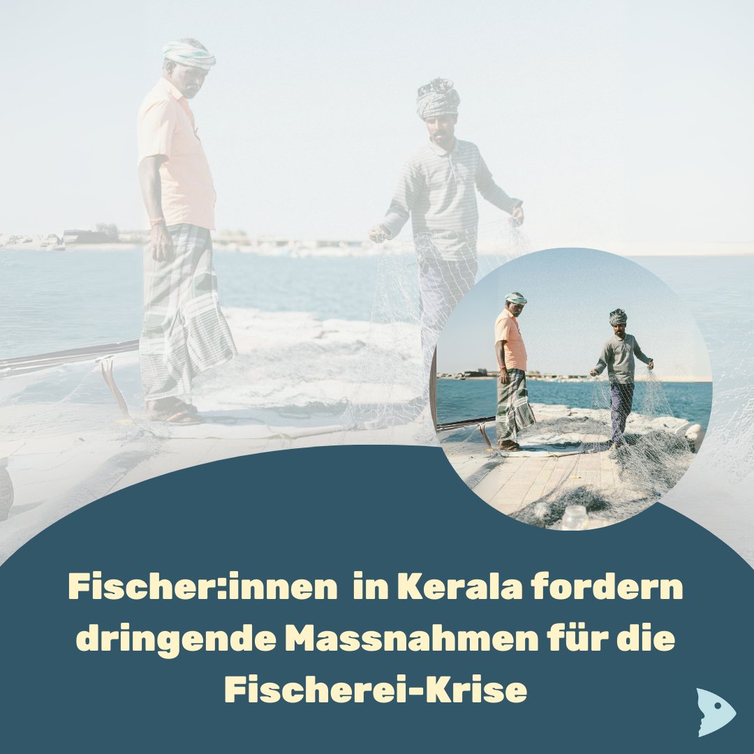 fair-fish tweet media