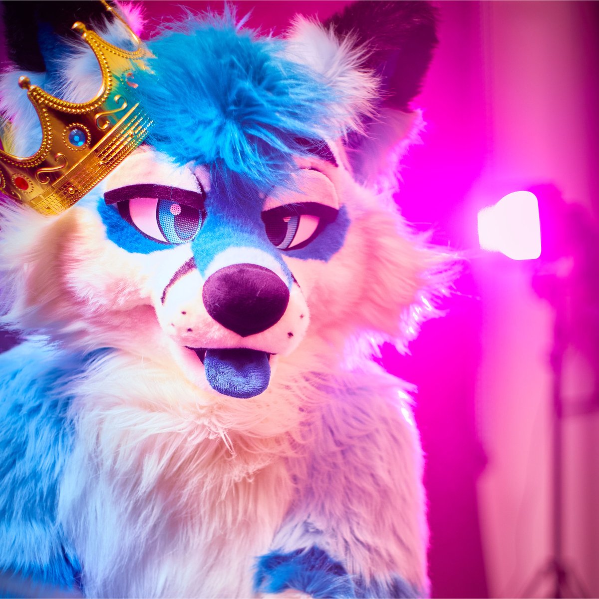 🧨 Furvester 6 (2024/25) Photoshootings 🧨

In the MIDNIGHT FURTOGRAPHY Studio close to Reutlingen. DM or telegram me if interested!