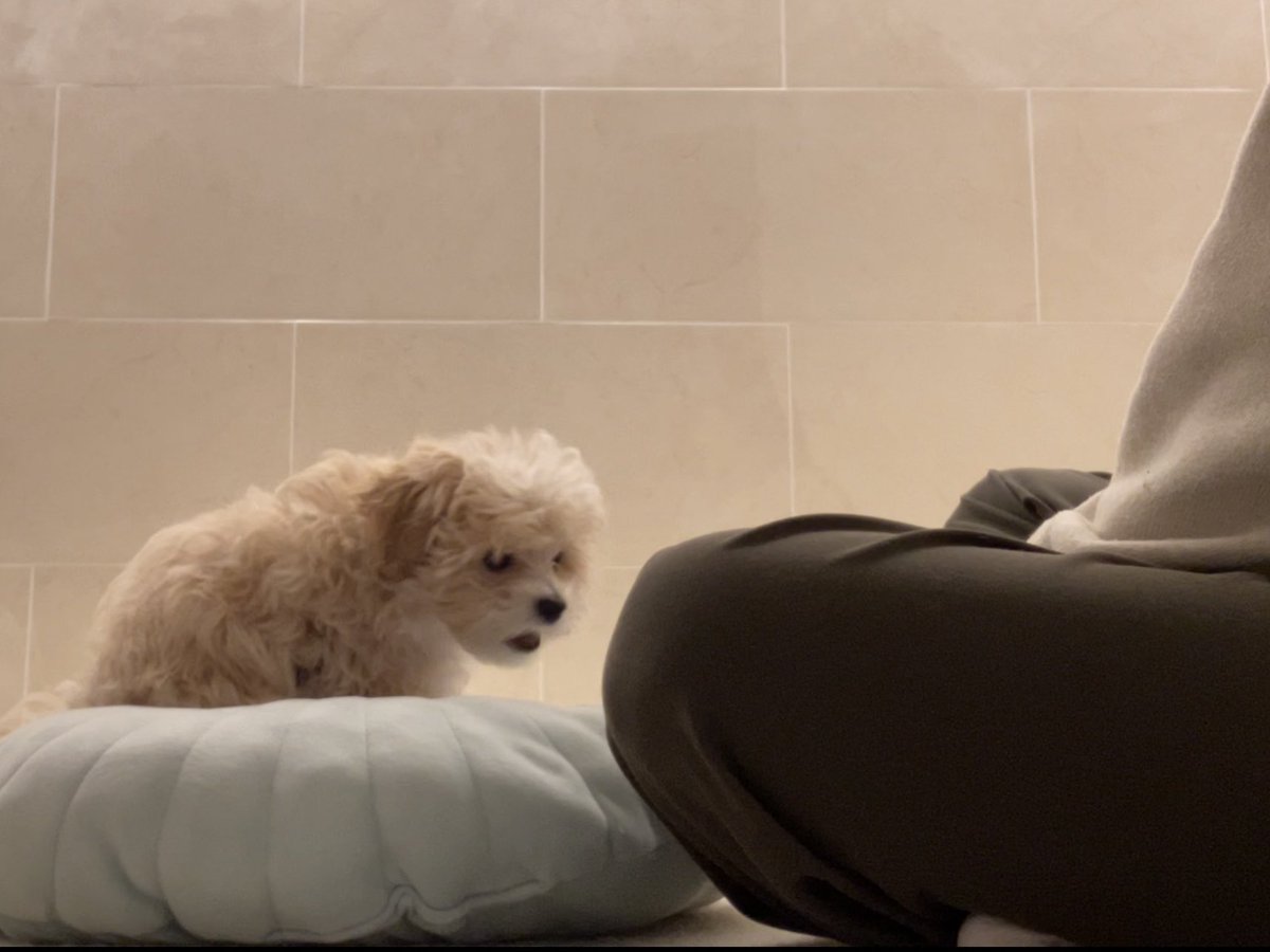 飼い主の話が長い