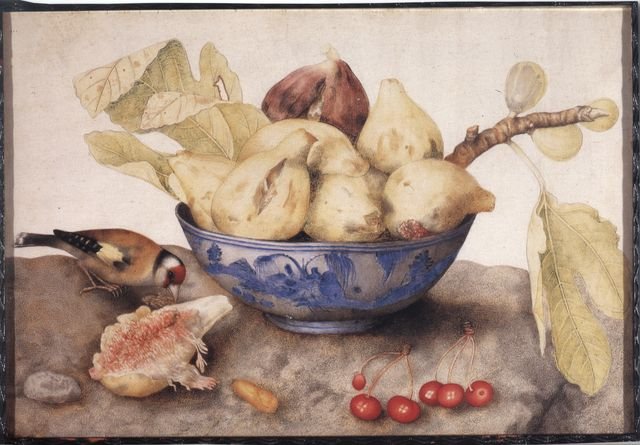 Auctionradar tweet media