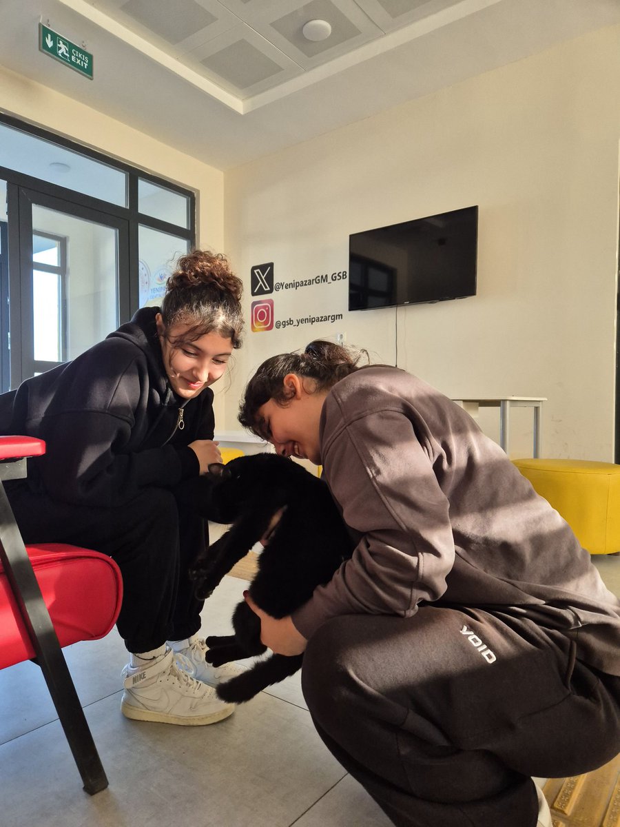 YenipazarGM_GSB's tweet photo. Tanıştıralım; en minik ve en sevimli üyemiz KARAM 🐈‍⬛🐱🥰
#YeşilBeceriler 
#GönüllüPati https://t.co/nD5vNmLzmR