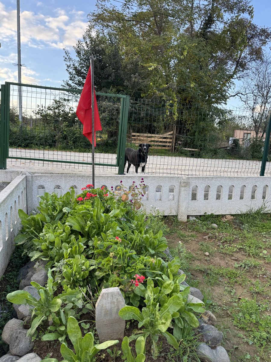 Takdir-i ilahi dizi dizidir 
Her kula ayrı bir yazı yazılır
Bakarsın beklenen sıra bozulur, 
Can sende emanet gün gelir söner
Allah'tan gelenler Allah'a döner.😔😢