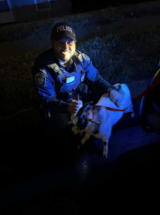 The elusive goat has been apprehended. He put up a solid fight but was ultimately subdued. Neither the goat, now dubbed Billy, nor the officers were injured. Billy is now in the good hands of the Nebraska Humane Society where he will be out of the cold and the roads.