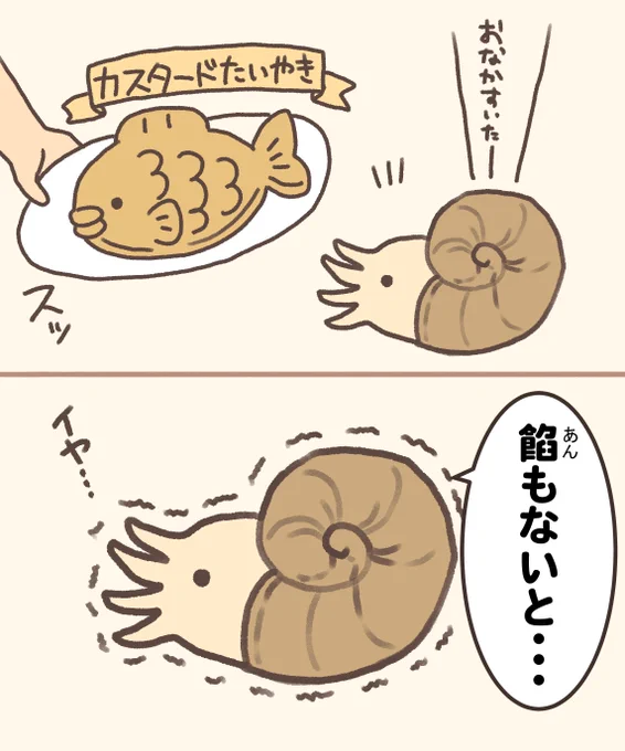 アンモナイトさん 