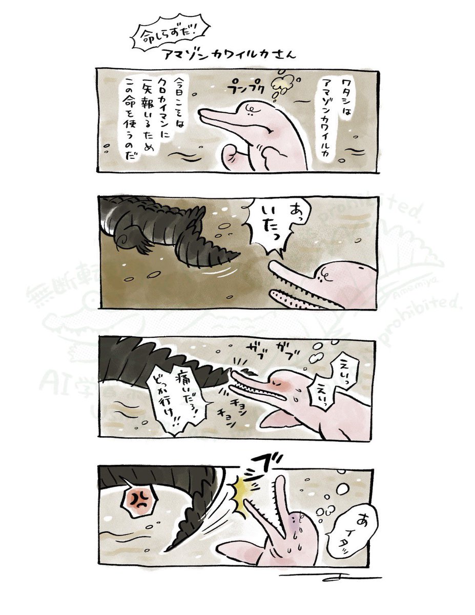 やられっぱなしじゃいられないんだね、アマゾンカワイルカさん 