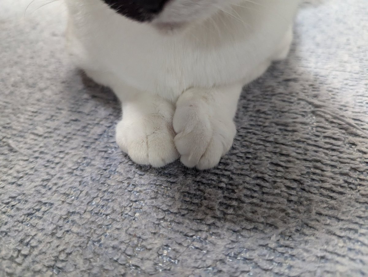bird__Johnny's tweet photo. 尊い https://t.co/4OiJdFmc6s
