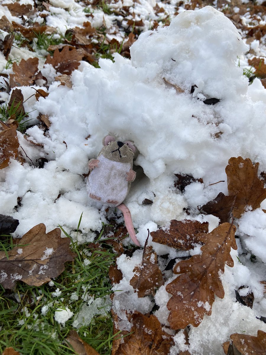 TaylormadeOL's tweet photo. Reception class @BrockholesCofE have been busy making A New House for Mouse, out of snow! ❄️ https://t.co/tdpF6T842E