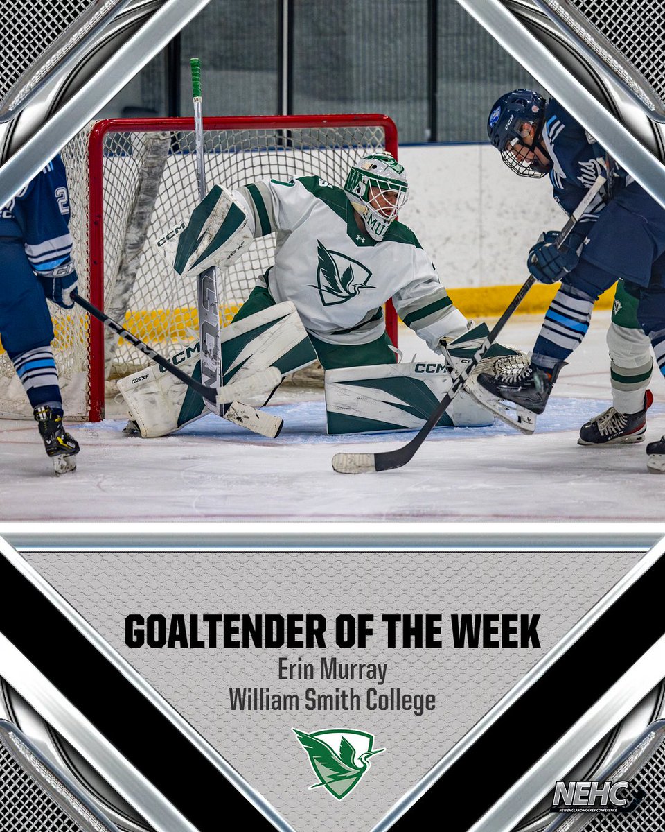 NE Hockey Conference tweet media