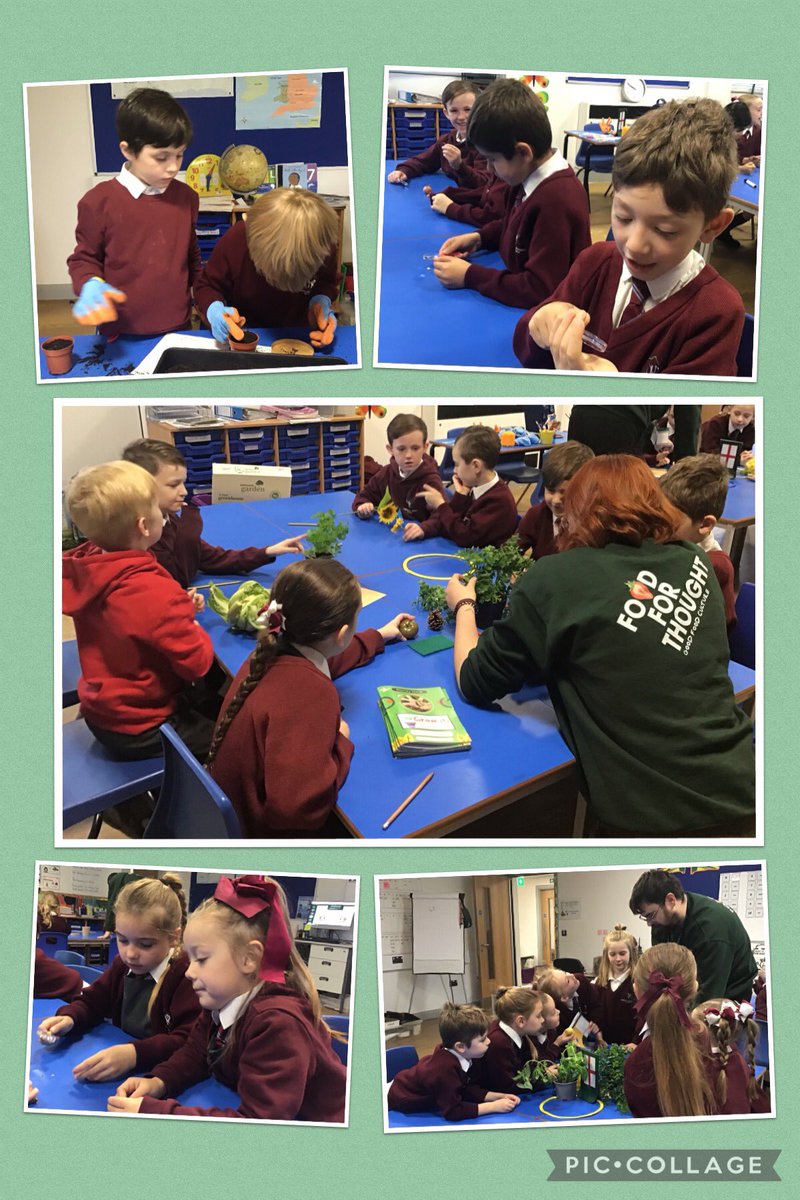 NormanPannellY2's tweet photo. Look at the highlights from our science lesson taught by Food for Thought. This was the first lesson about plants. #NPPSScience https://t.co/VOom4L06xN