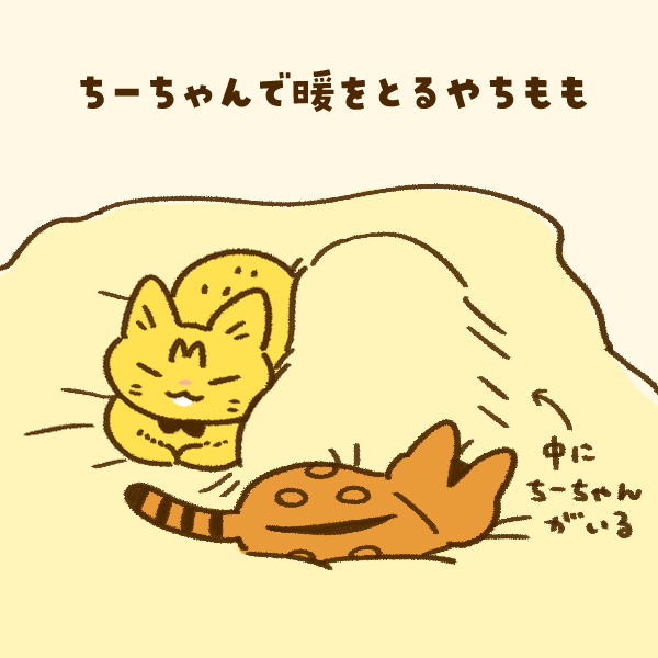 空前のちー暖ブーム 
