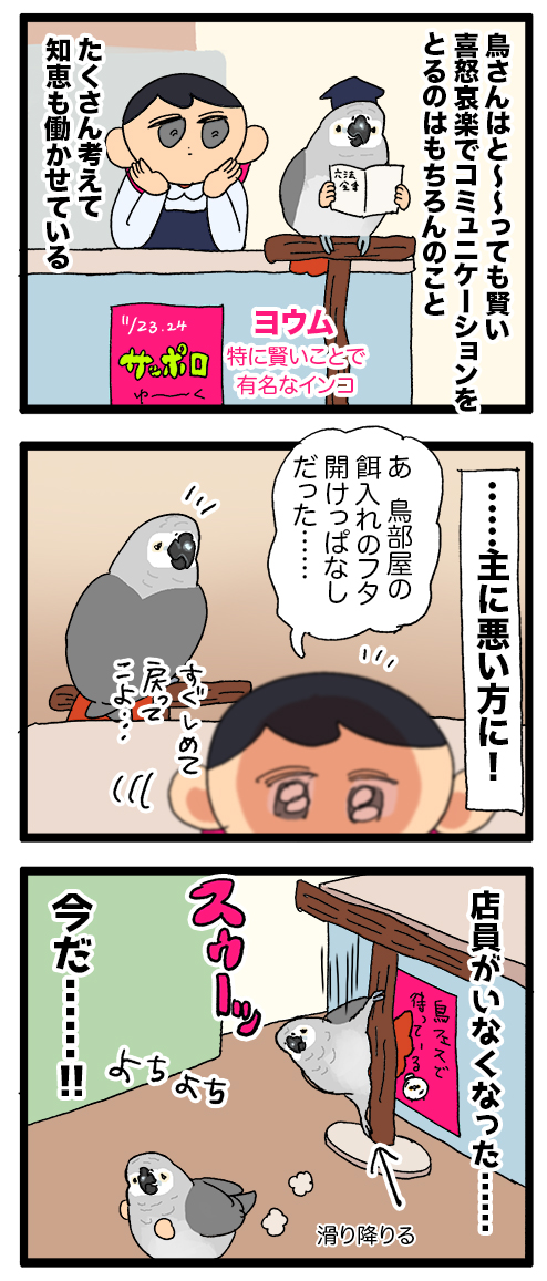 イタズラインコちゃん、ちょっと目を離した隙に大体何かしら破壊してる💥
1968 #えるポピの絵日記かくところ