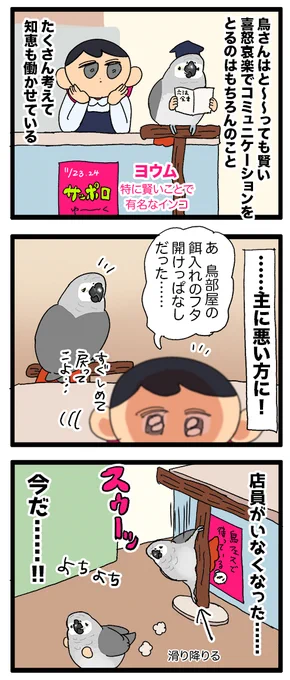 イタズラインコちゃん、ちょっと目を離した隙に大体何かしら破壊してる💥

1968 #えるポピの絵日記かくところ 