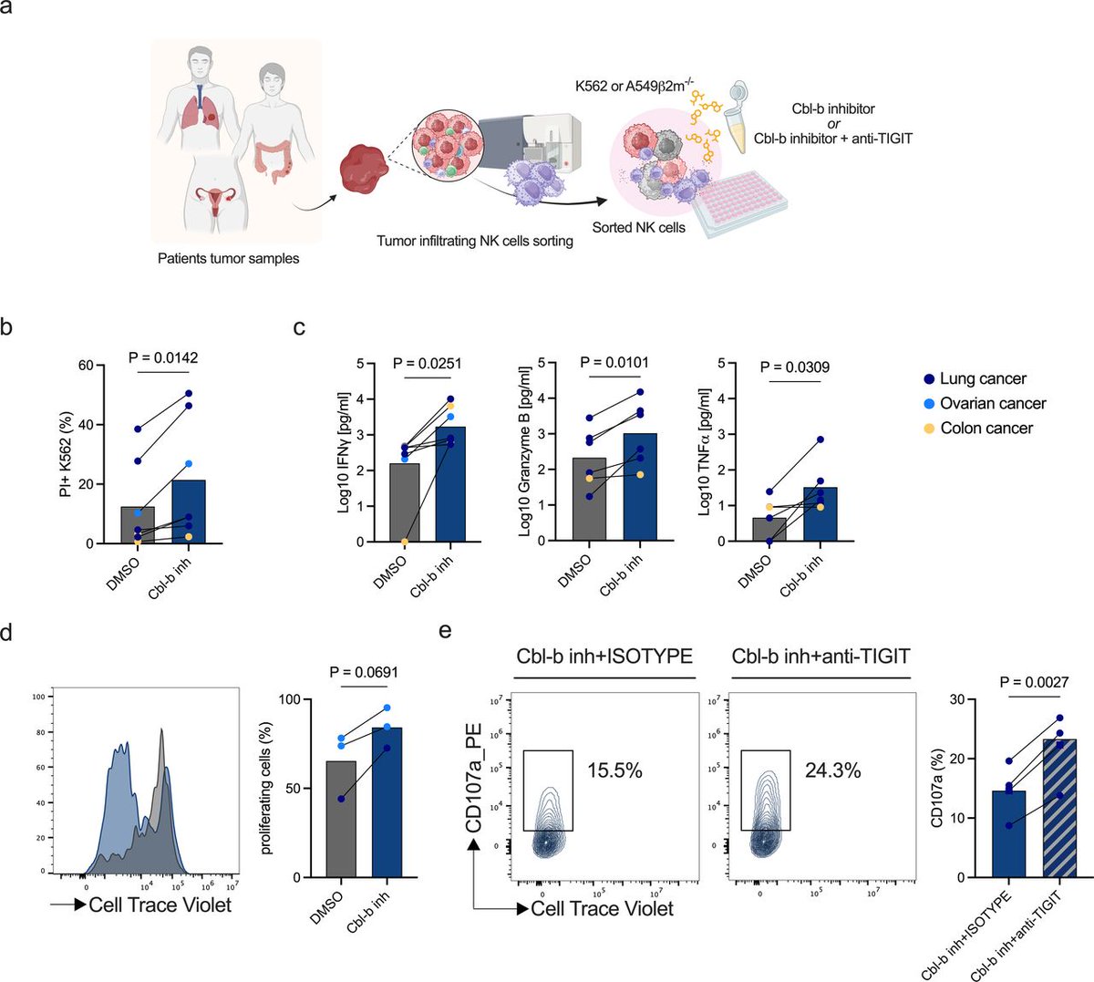Journal for ImmunoTherapy of Cancer (@jitcancer) on Twitter photo New #JITC article: Inhibition of Cbl-b restores effector functions of human intratumoral NK cells bit.ly/3CCabqI <a href="/AlfredZippelius/">Alfred Zippelius</a> New #JITC article: Inhibition of Cbl-b restores effector functions of human intratumoral NK cells bit.ly/3CCabqI <a href="/AlfredZippelius/">Alfred Zippelius</a>