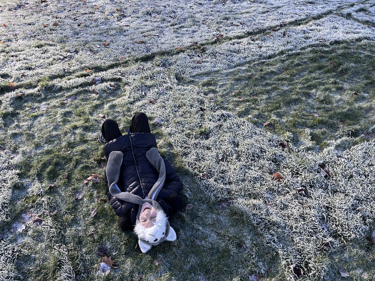 Mr Knight tweet media