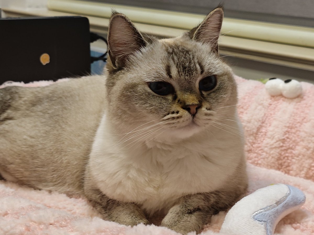 50元高价回收 (@alex_the_clanks) on Twitter photo 