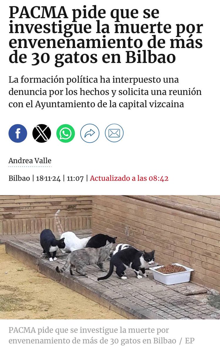 PartidoPACMA's tweet photo. ☣¡Están envenenando gatos en Bilbao!

📃Hemos denunciado la muerte por envenenamiento de más de 30 gatos de colonias felinas en Bilbao. Nuestra coordinadora, María López, ha solicitado una reunión con el Ayuntamiento @bilbao_udala para que investigue las muertes, refuerce la seguridad de las colonias y apoye a los gestores.

❌¡Estos actos no pueden quedar impunes!

#ColoniasFelinas #Gatos #Animales #MaltratoAnimal #MovimientoVerde
