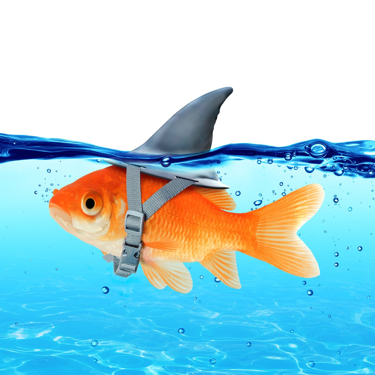 Boom Online Marketing tweet media