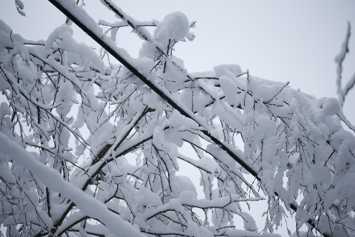 Keskiviikolle ja torstaille ennustetut kovat puuskat ja tykkylumi tulevat aiheuttamaan sähkökatkoja.

Näin varaudut mahdolliseen sähkökatkoon ➡️ elenia.fi/sahkokatkot/na…

👉 Tilaa myös sähkökatkojen viestipalvelu Elenia Aina -palvelussa.

#sähkökatko #jari-myrsky #elenia