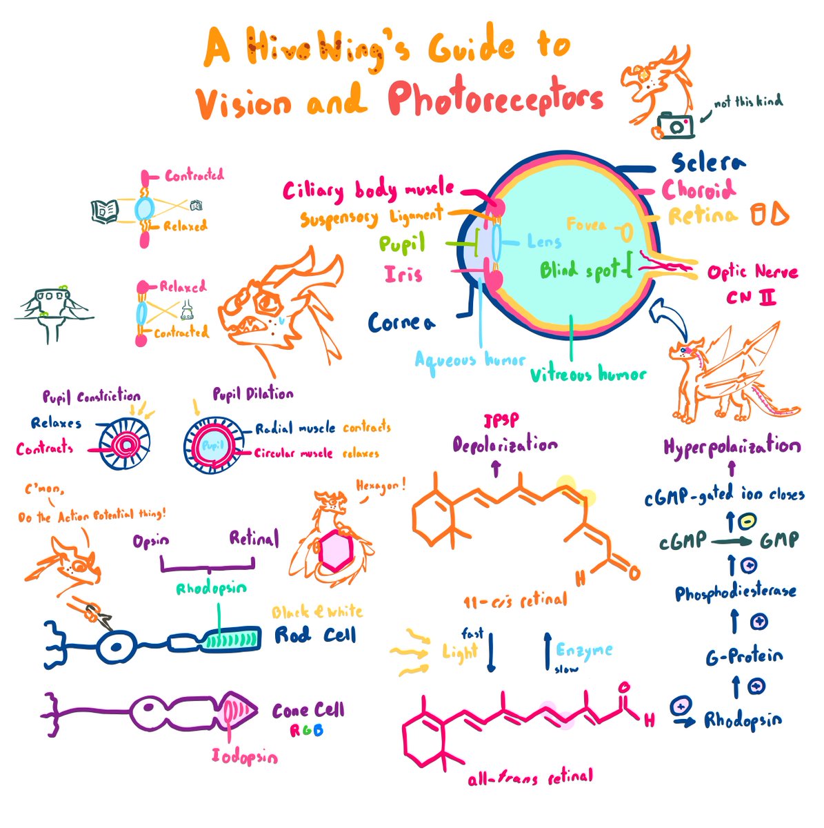 AmonNonza_'s tweet photo. Sharing some of my science doodles here because i can lol #wingsoffire #hivewing #silkwing #mudwing #wof https://t.co/fdIXKgsxgO