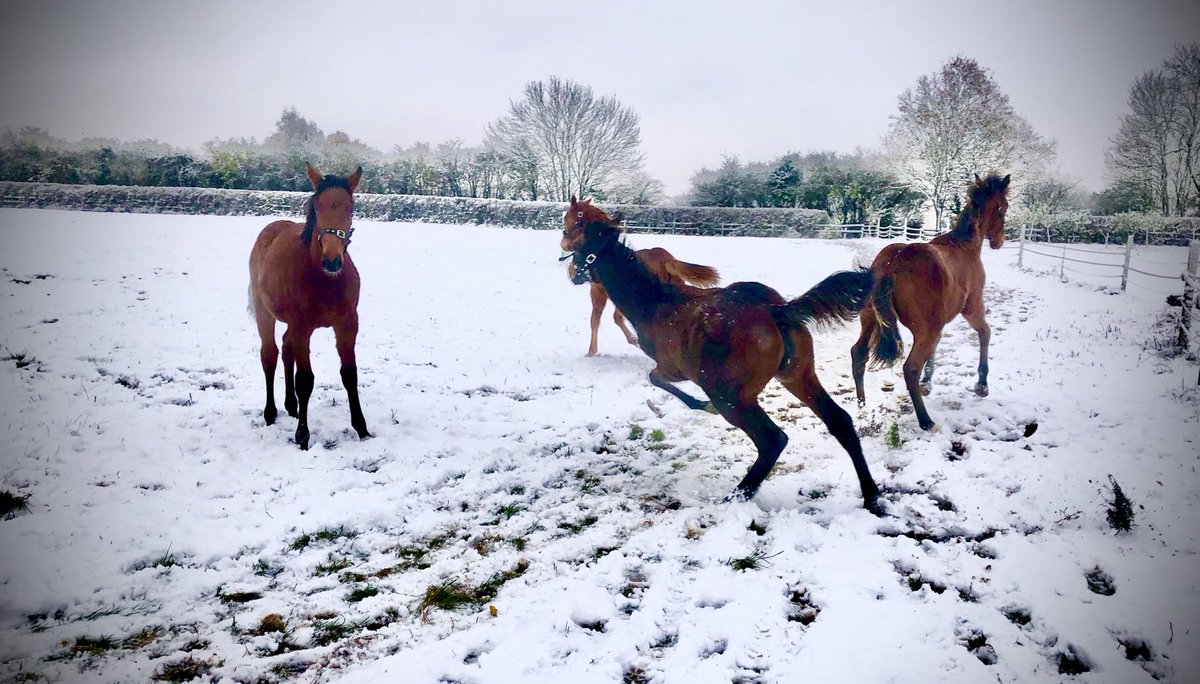 tim Cooper tweet media