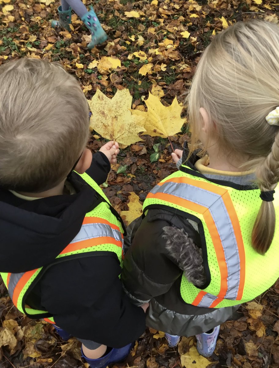 Our teacher trainees are now taking responsibility for the teaching and learning of science on their primary PGCE placements. Our trainee, Freya, has planned and implemented lessons on deciduous and evergreen trees and led her Y1 class to investigate their local environment! 🍂