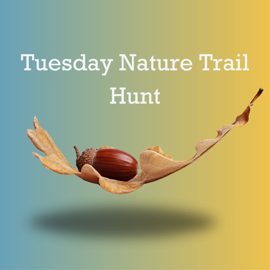 Tuesday: Nature Trail Hunt! 🍂🦊
Get outside and enjoy a fun treasure hunt with your family!

Tag us in your photos and let us know what you find! #HISDNPIM #NatureTrailHunt #FamilyFun #FallAdventures #NationalFamilyInvolvementMonth