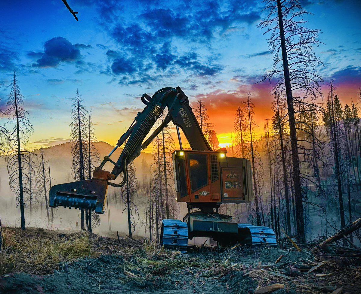 TimberNewsUSA's tweet image. ☀️ Every sunrise is an invitation for us to arise and brighten someone’s day.

📸 Photo taken by Sabrina Cantu of Diversified Resources in California

#americanloggers  #logginglife #loggerlife #bluecollar #bluecollarlife #loggers #tigercat #tigercatlife #californialoggers…