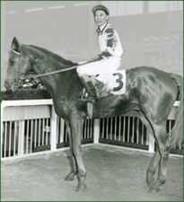 HORSERACING1002's tweet image. COUNTERPOINT 🇺🇸1948
(COUNT FLEET - JABOT BY SICKLE)
#Counterpoint
B/O C. V. Whitney (Ky) 1948
T/ Sylvester Veitch 
21-10-3-1---$284,575
1951 champion 🏆 3yo Colt and Horse of the year. 
Belmont S, Empire City Gold Cup, Empire City H, Jockey Club Gold Cup,  Lawrence Realization,