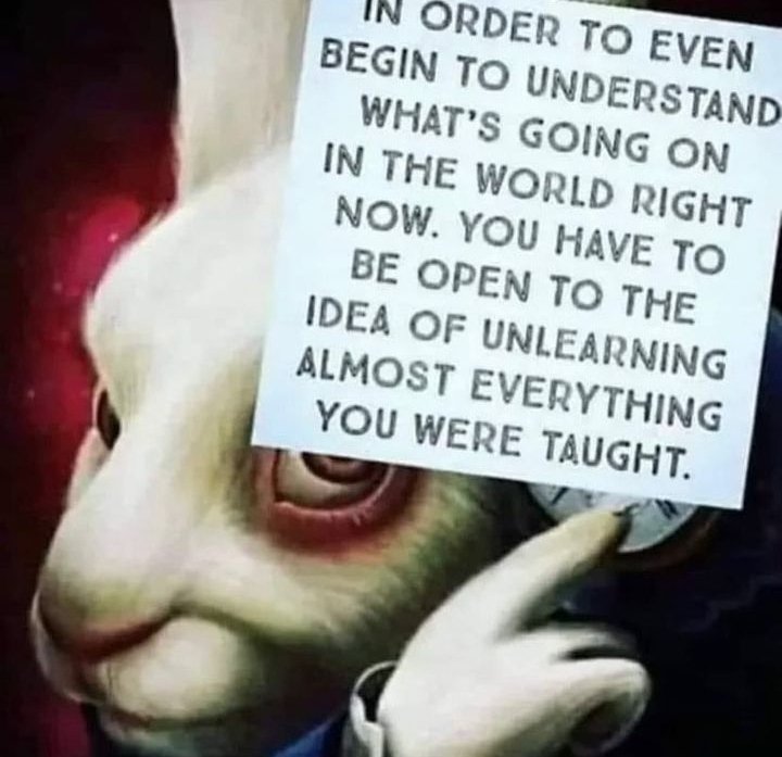 Subplots7's tweet image. #Subplots