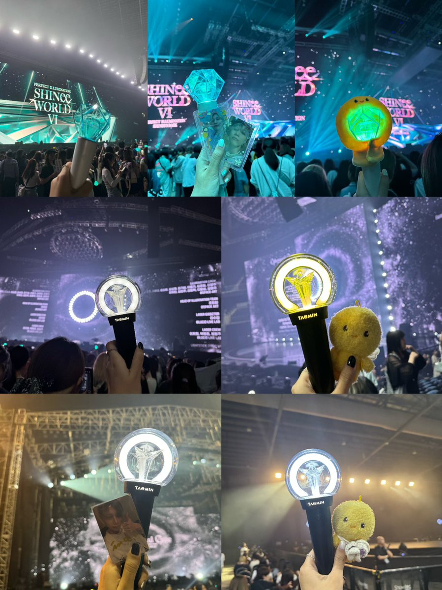 민트🌱 tweet media