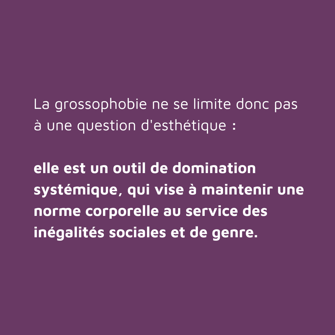 Gras Politique tweet media
