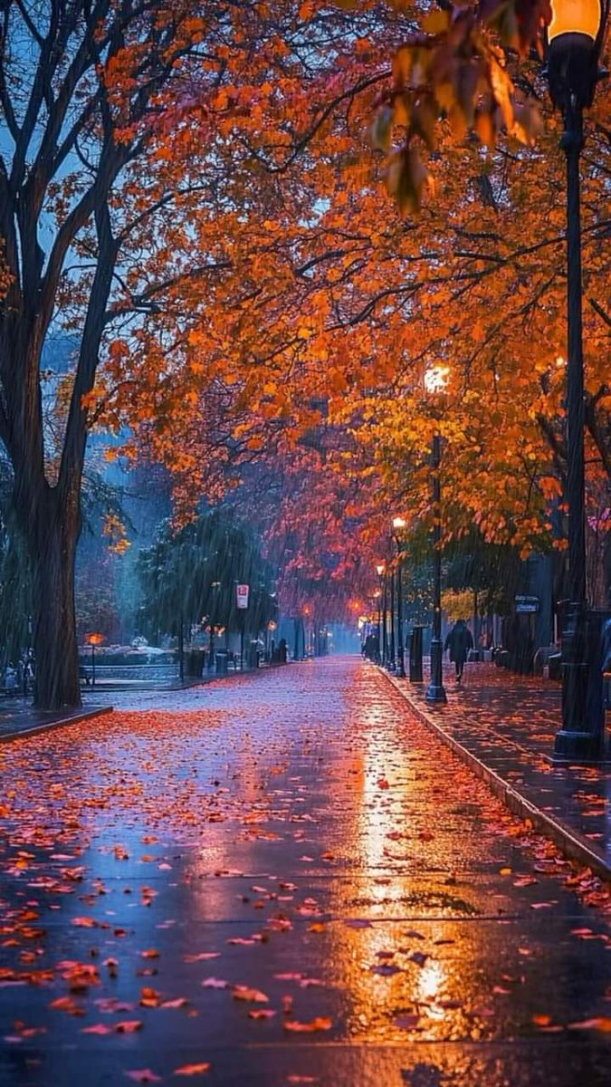 MadridistaZ0ne's tweet photo. โWhen the rain falls, autumn whispers its secrets ๐๐ง๏ธ #SeasonOfChange #FallingForFallโ https://t.co/EtLI7KfAXg