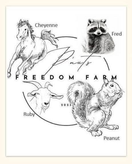 @mrsolana69 Absolutely insane 

$RUBY 2m 🤩 <a href="/Ruby_on_solana/">RUBY</a> 

$FRED $PNUT #CHEYENNE