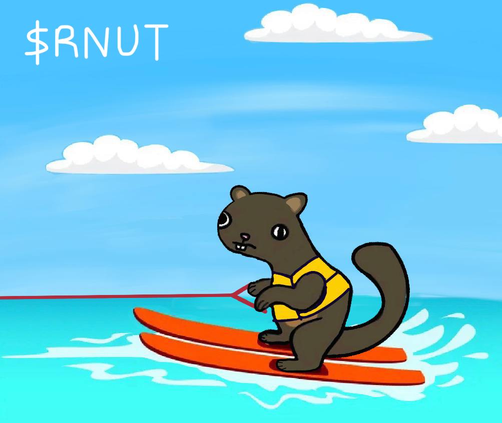 Rnut_CTO's tweet photo. @AltcoinDailyio You missed $Pnut
Don’t be a retard
Buy $Rnut Retarded Peanut

$RNut CTO

A3CQMsS21KmvrGXKqKvjYreVMxXBmSkPZ1tZQTB1pump https://t.co/5LeSPcXmhY