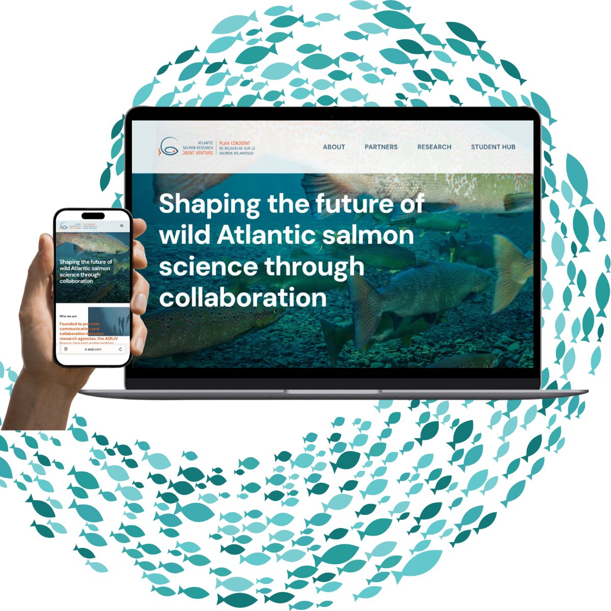 Atlantic Salmon Research Joint Venture tweet media