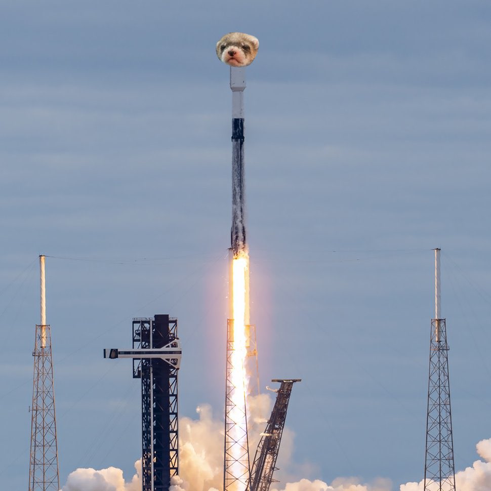 maxzur_eth's tweet photo. @KookCapitalLLC Wait for the $SIBERT pump ✊ https://t.co/EcKsCBI5Yt