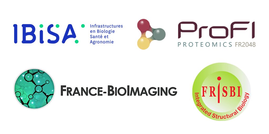 Fr_BioImaging's tweet image. 🗣️ Today, users whose projects were funded by the @GIS_IBISA / #FRISBI, #ProFi or France-BioImaging Interdisciplinary Access call are presenting their feedback on the impact of #access to #StructuralBiology, #BiologicalImaging and #Proteomics facilities on their projects.🔬🧬🤝