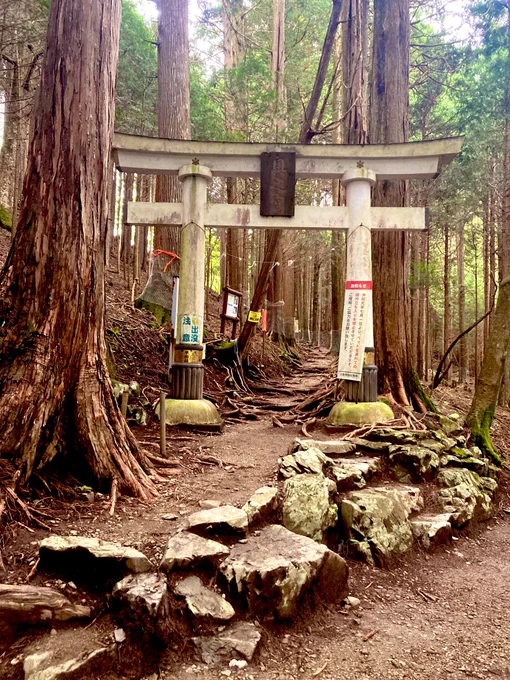 三峯神社はパワースポットとも言われているようだし怖くないかな?と思って1人で行きました。いいところでした。ここで視たのか…と思うと少しドキドキします。狛犬がみんな狼でした。心霊スポットにもなってるところは怖いので編集さんと行きます。 