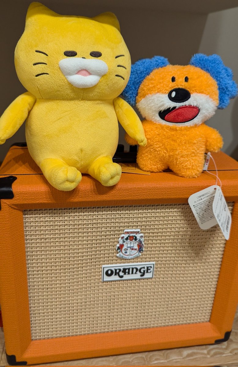 miburn5's tweet photo. 黄色やオレンジ色のものが好き
#ノラネコぐんだん 
#たべっ子どうぶつ 
#たっとん 
#orange https://t.co/CtyflBEeLR