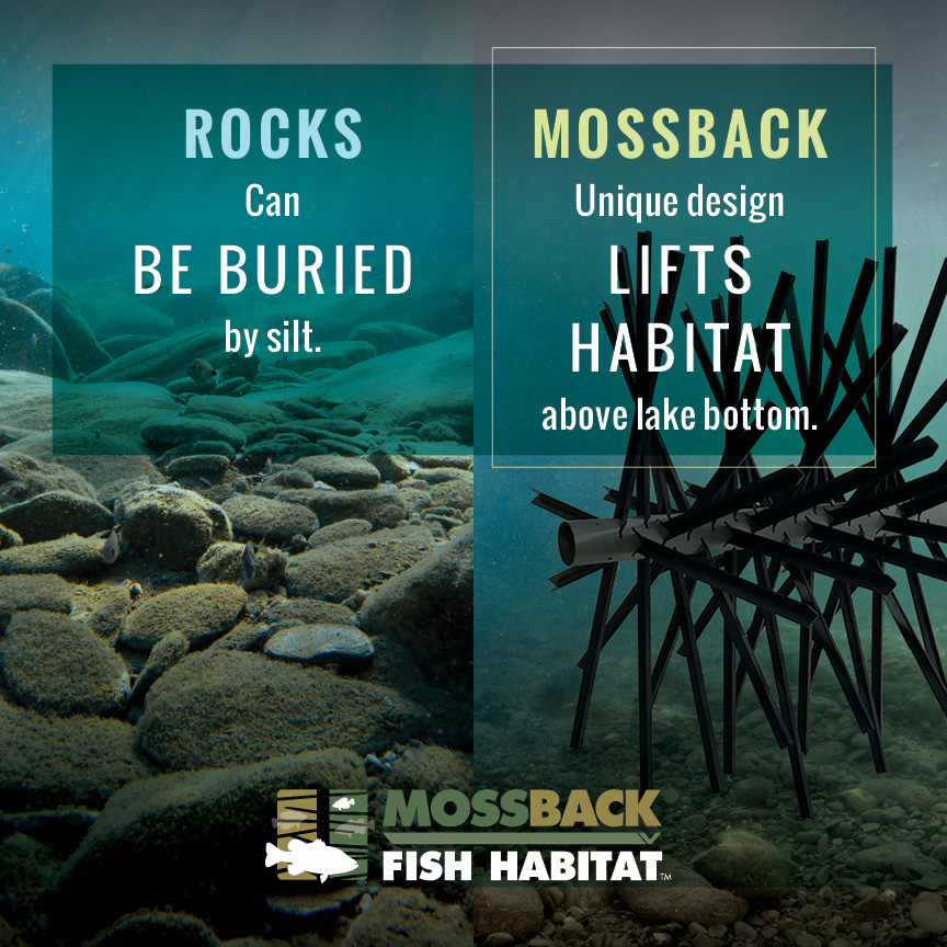 crappiedan's tweet image. A thriving fishing spot starts with #MossBackFishHabitat! 🐟🌿 Their elevated design avoids silt buildup, creating ideal environments for fish to gather and grow. Better habitats = better fishing! 🎣

👉 ddoutdoor.com/mossback-produ…

#FishConservation #PondManagement #BetterFishing
