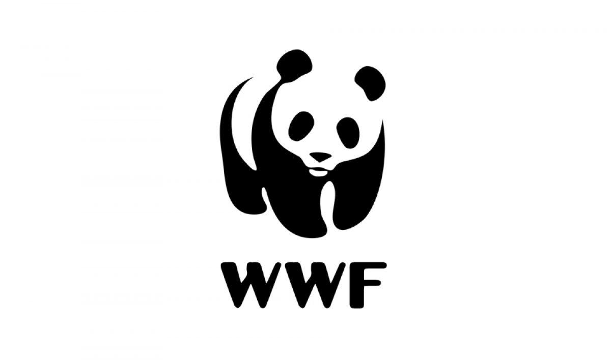EFE Escuela (@efeescuela) on Twitter photo Convocada la beca <a href="/EFEnoticias/">EFE Noticias</a>- <a href="/WWFespana/">WWF España 🐼</a> de periodismo ambiental. agenciaefe.es/convocada-la-b… Convocada la beca <a href="/EFEnoticias/">EFE Noticias</a>- <a href="/WWFespana/">WWF España 🐼</a> de periodismo ambiental. agenciaefe.es/convocada-la-b…